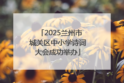 2025兰州市城关区中小学诗词大会成功举办