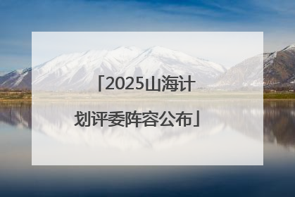 2025山海计划评委阵容公布