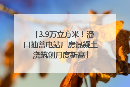 3.9万立方米！潘口抽蓄电站厂房混凝土浇筑创月度新高