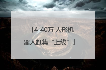 4-40万 人形机器人赶集“上线”