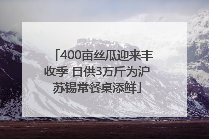 400亩丝瓜迎来丰收季 日供3万斤为沪苏锡常餐桌添鲜