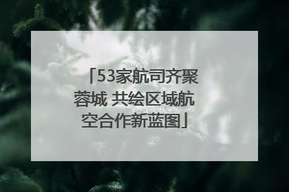 53家航司齐聚蓉城 共绘区域航空合作新蓝图