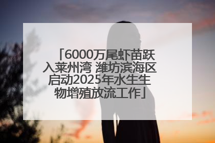 6000万尾虾苗跃入莱州湾 潍坊滨海区启动2025年水生生物增殖放流工作