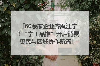 60余家企业齐聚江宁！“宁工品推”开启消费惠民与区域协作新篇
