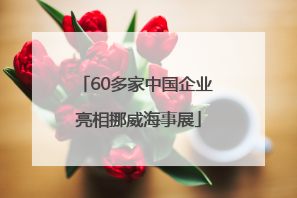 60多家中国企业亮相挪威海事展
