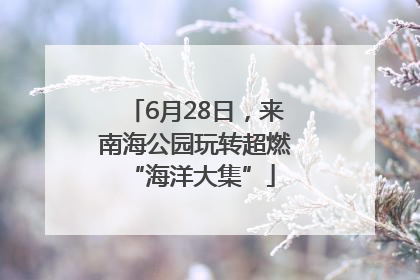 6月28日，来南海公园玩转超燃 “海洋大集”
