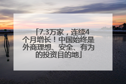 7.3万家，连续4个月增长！中国始终是外商理想、安全、有为的投资目的地