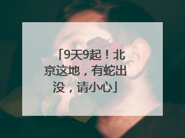 9天9起！北京这地，有蛇出没，请小心