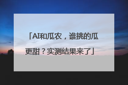 AI和瓜农，谁挑的瓜更甜？实测结果来了