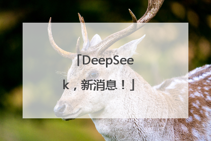 DeepSeek，新消息！