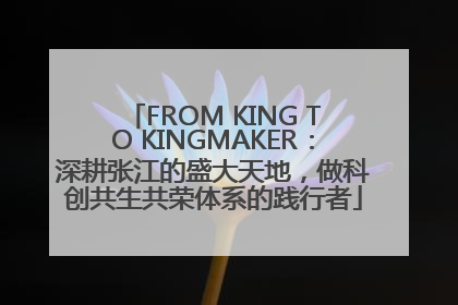 FROM KING TO KINGMAKER：深耕张江的盛大天地，做科创共生共荣体系的践行者
