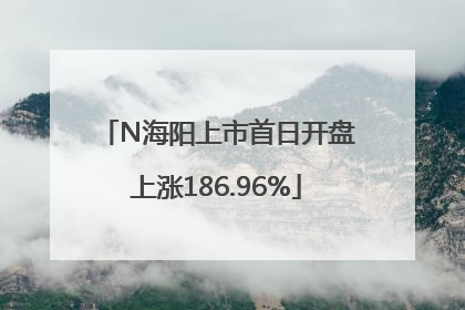 N海阳上市首日开盘上涨186.96%