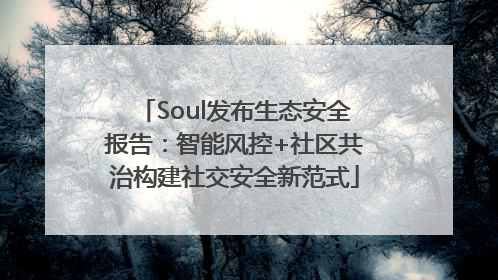 Soul发布生态安全报告：智能风控+社区共治构建社交安全新范式